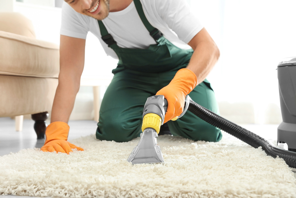 Experienced Carpet Cleaning in Bay Shore Team