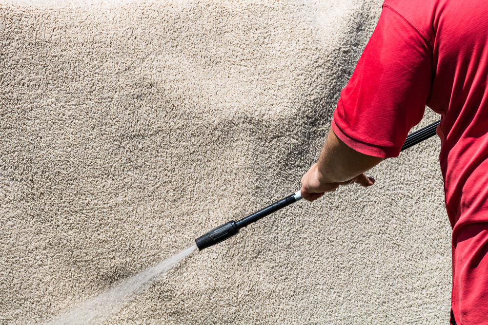 Deep Steam Carpet Cleaning in Bay Shore